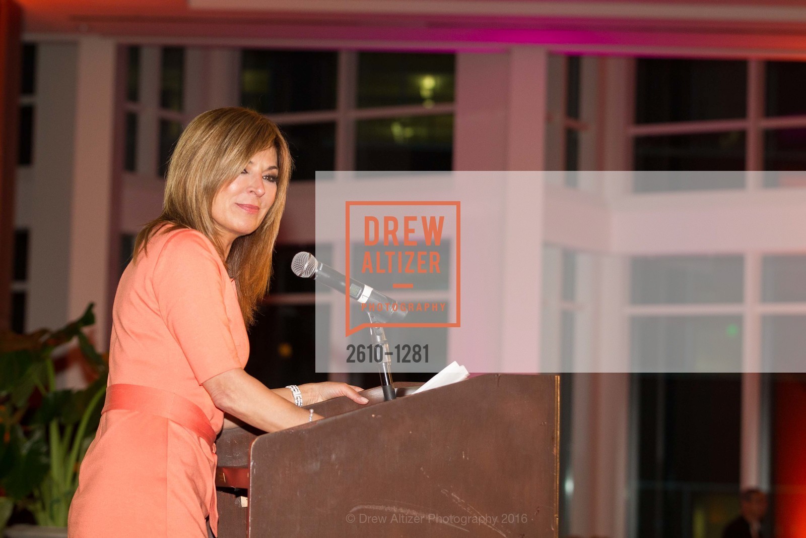 Vicki Liviakis, Dress for Success 11th Annual Gala, US. Intercontinental Hotel, June 22nd, 2016, Photo #2610-1281 Vicki Liviakis, Photo #2610-1281