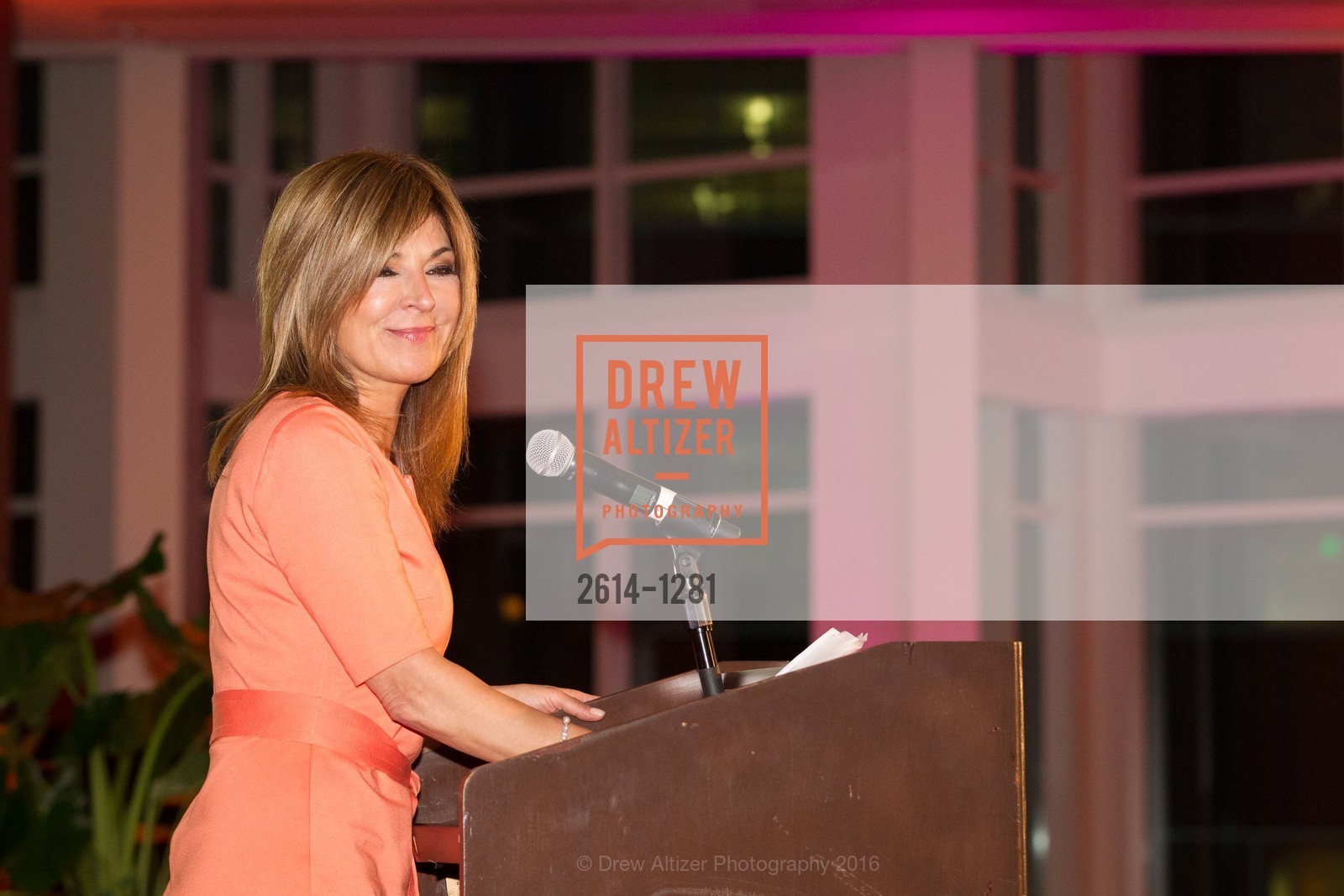 Vicki Liviakis, Dress for Success 11th Annual Gala, US. Intercontinental Hotel, June 22nd, 2016, Photo #2614-1281 Vicki Liviakis, Photo #2614-1281