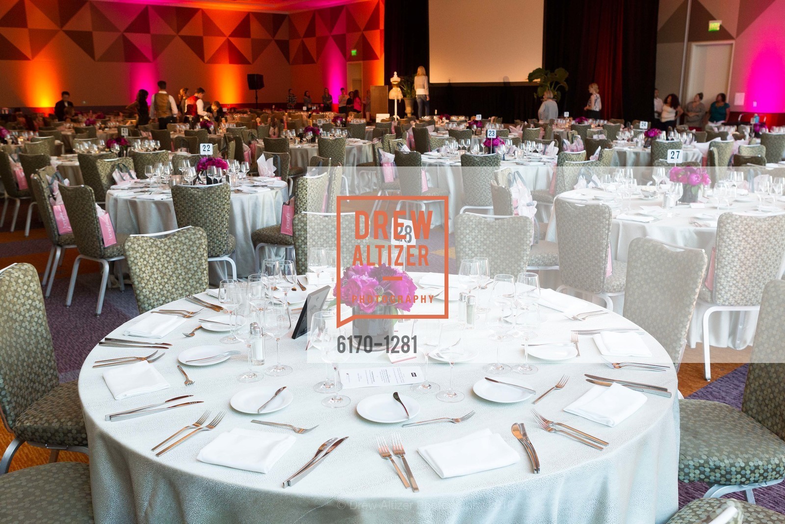 Atmosphere, Dress for Success 11th Annual Gala, US. Intercontinental Hotel, June 22nd, 2016