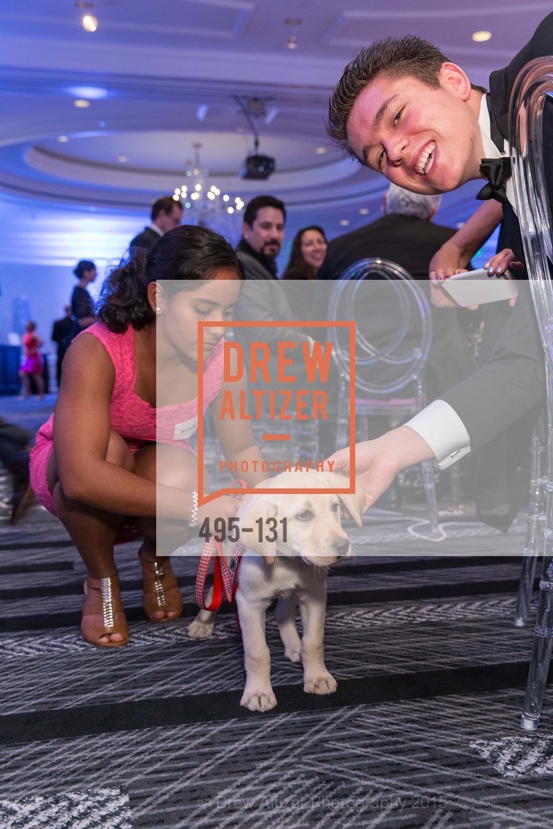 Christian Isbrandtsen, JUVENILE DIABETES RESEARCH FOUNDATION Hope Gala, The Ritz-Carlton, May 29th, 2015,Drew Altizer, Drew Altizer Photography, full-service agency, private events, San Francisco photographer, photographer california