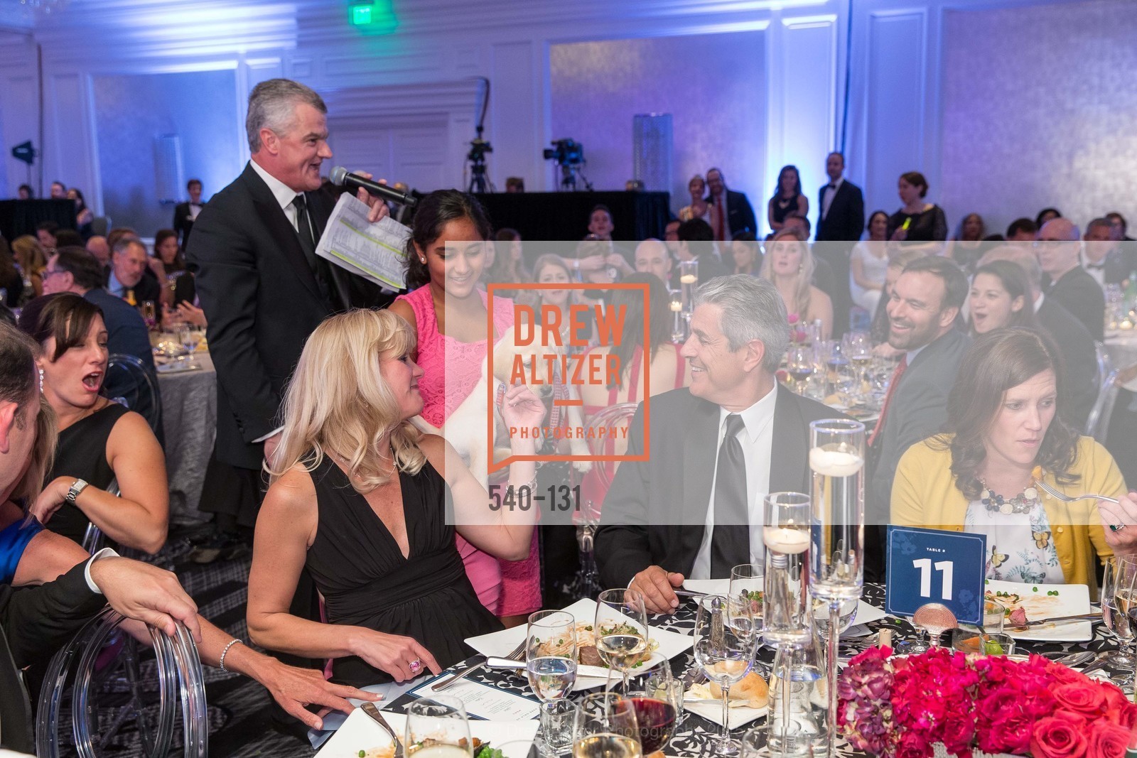 Extras, JUVENILE DIABETES RESEARCH FOUNDATION Hope Gala, May 29th, 2015, Photo