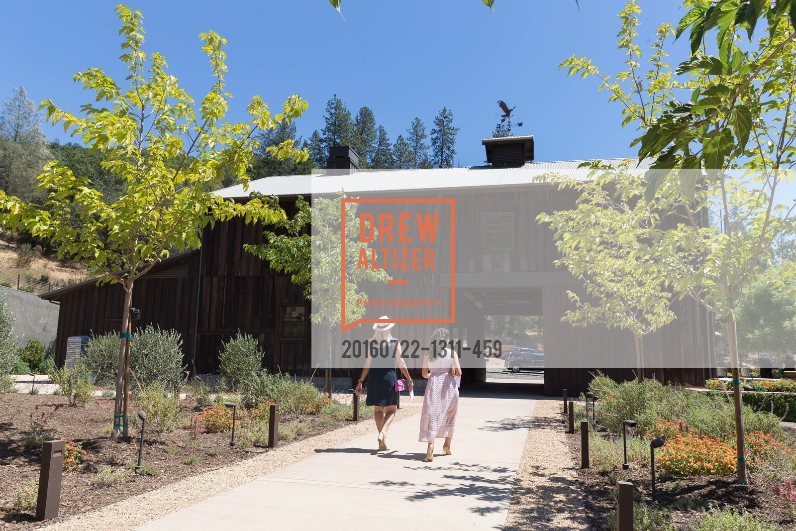 Atmosphere, Festival Napa Valley: Bulgari Luncheon at Davis Estates, 4060 SILVERADO TRAIL, July 22nd, 2016, Photo #20160722-1311-459 Atmosphere, Photo #20160722-1311-459