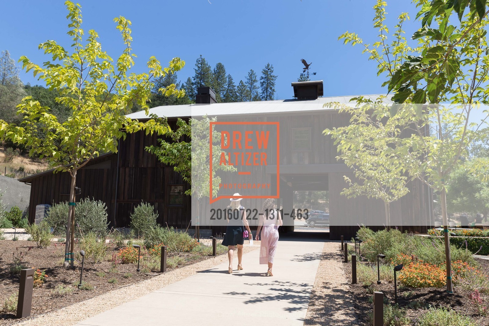 Atmosphere, Festival Napa Valley: Bulgari Luncheon at Davis Estates, 4060 SILVERADO TRAIL, July 22nd, 2016, Photo #20160722-1311-463 Atmosphere, Photo #20160722-1311-463
