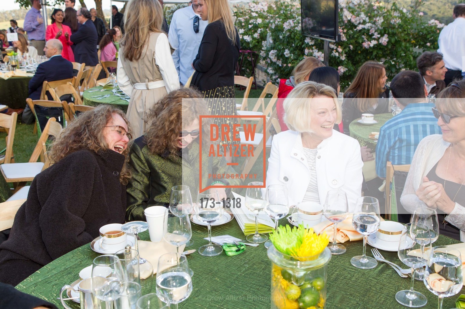JoAnn Loulan, Laurie Woods, Ginny Sjoberg, Bay Area Lyme Foundation's LymeAid 2014, Portola Valley, CA 94028, April 27th, 2014, Photo #173-1318 JoAnn Loulan, Laurie Woods, Ginny Sjoberg, Photo #173-1318
