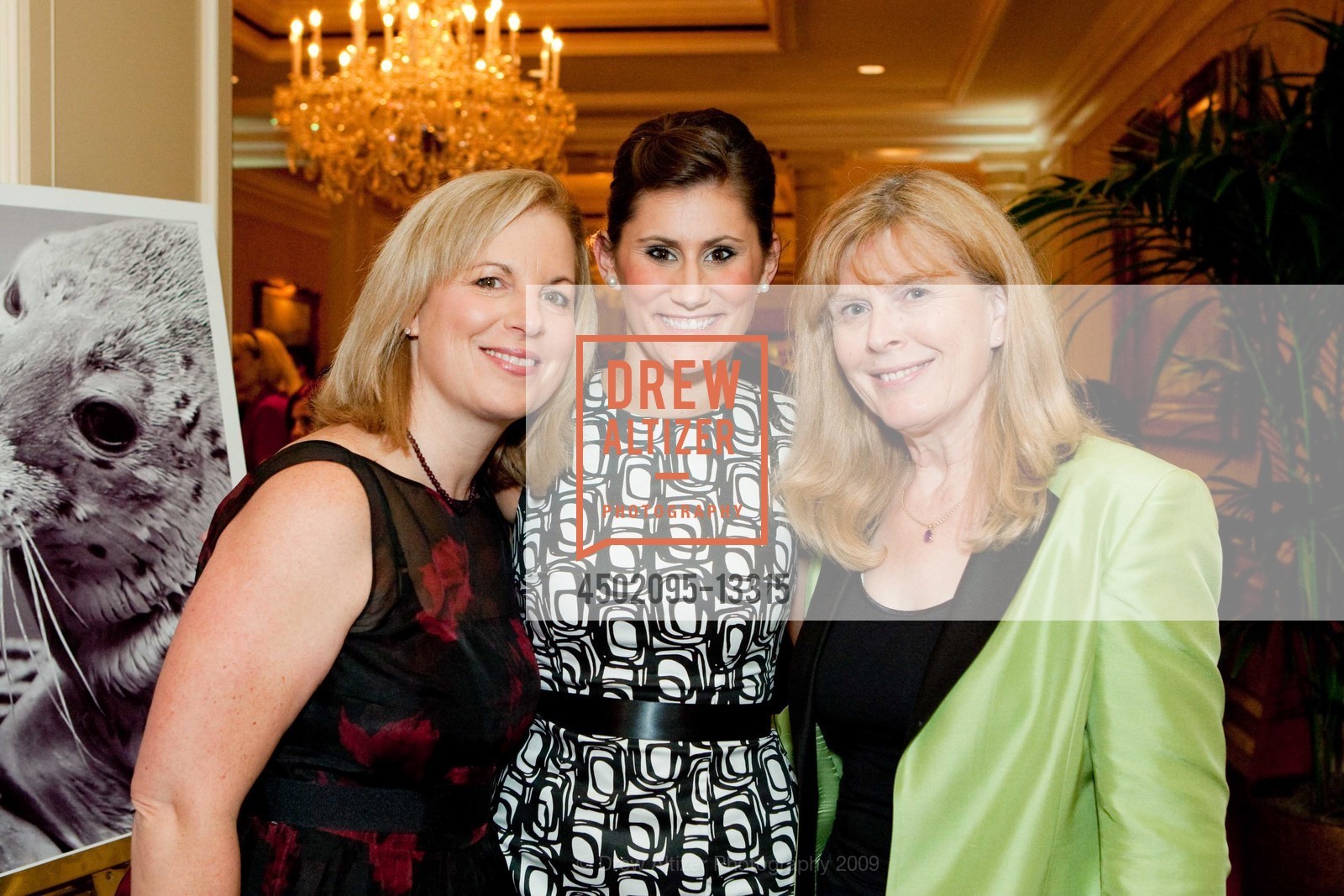 Kathy Paver, Melanie Watkins, Anthea McGoldrick, The MARINE MAMMAL CENTER GALA at the Ritz Carlton, US, October 16th, 2009, Photo #4502095-13315 Kathy Paver, Melanie Watkins, Anthea McGoldrick, Photo #4502095-13315