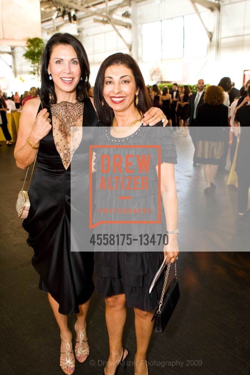 Lois Chess, Sima Dahi, MEALS ON WHEELS of San Francisco's 22nd annual Star Chefs and Vintners Gala, US, May 19th, 2009, Photo #4558175-13470 Lois Chess, Sima Dahi, Photo #4558175-13470