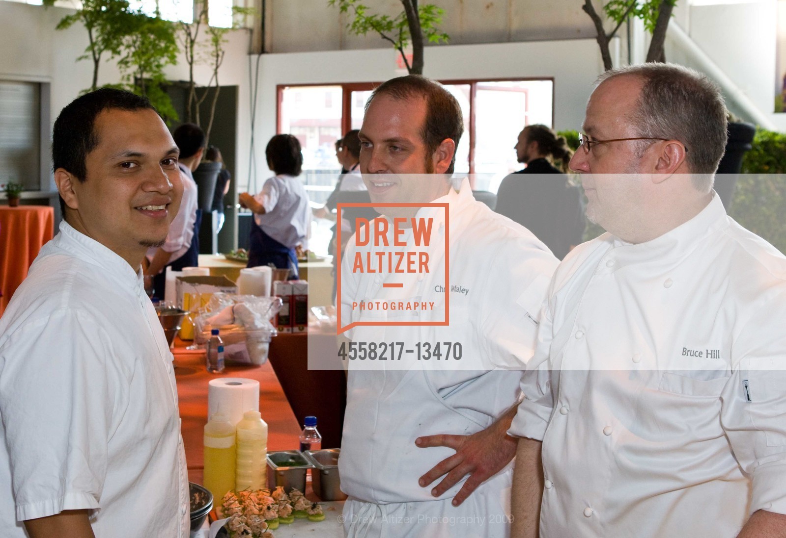 Jonathan Lelva, Chris Whaley, Bruce Hill, MEALS ON WHEELS of San Francisco's 22nd annual Star Chefs and Vintners Gala, US, May 19th, 2009, Photo #4558217-13470 Jonathan Lelva, Chris Whaley, Bruce Hill, Photo #4558217-13470