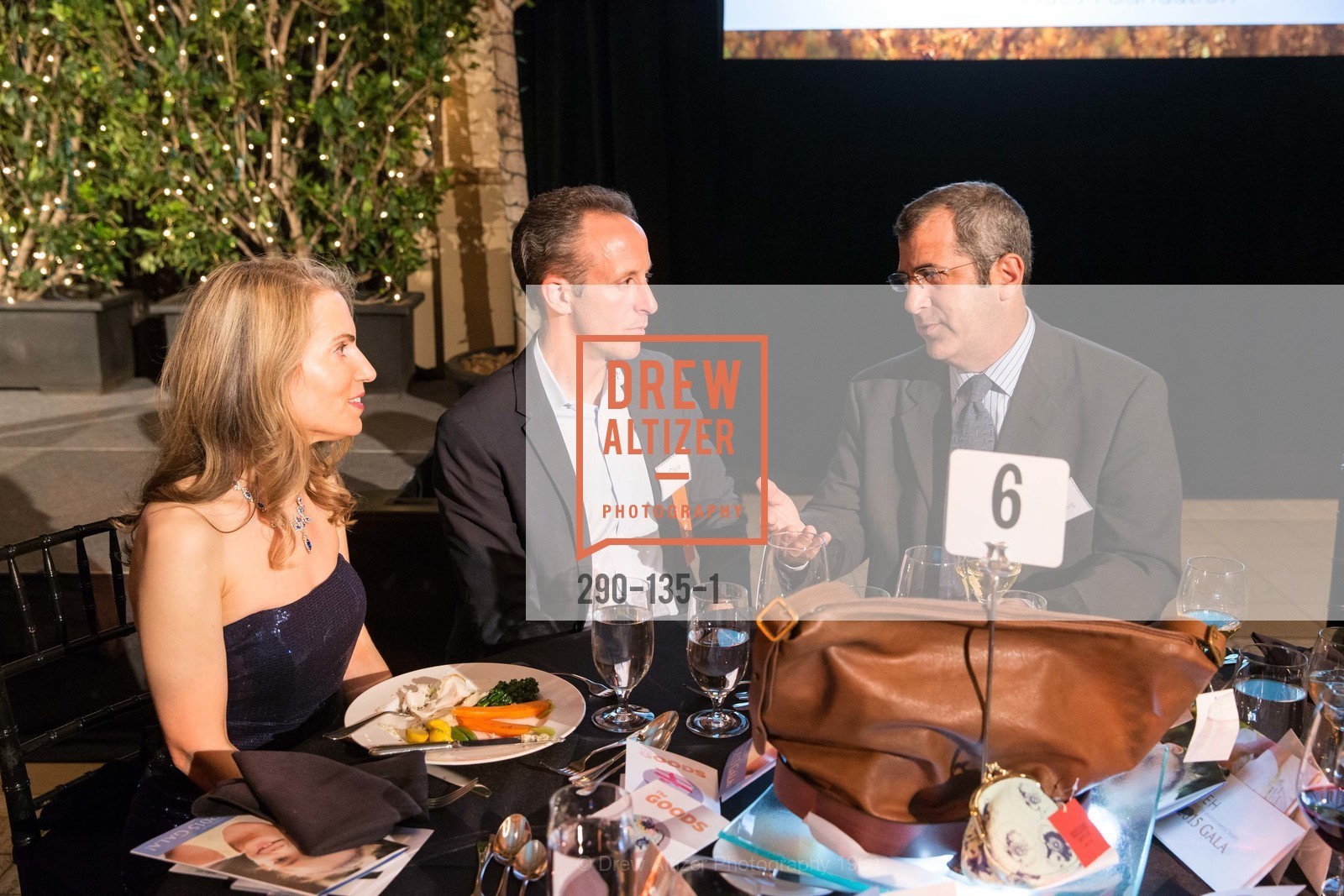 Extras, Center for Environmental Health 2015 Gala, May 27th, 2015, Photo,Drew Altizer, Drew Altizer Photography, full-service agency, private events, San Francisco photographer, photographer california