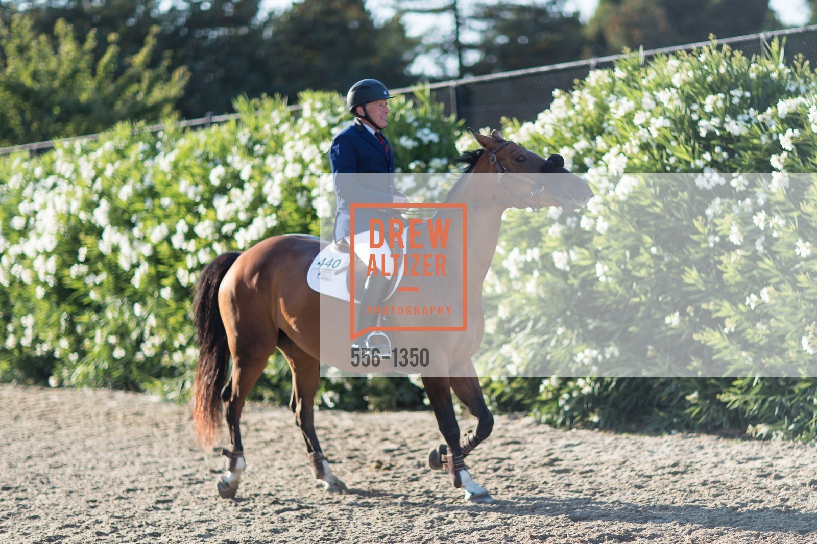 Horse Show, Menlo Charity Horse Show Gala Dinner, Menlo Circus Club, August 12th, 2016, Photo #556-1350 Horse Show, Photo #556-1350