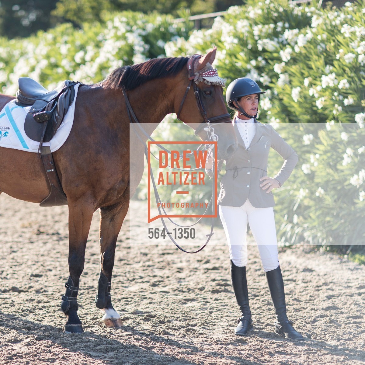 Horse Show, Menlo Charity Horse Show Gala Dinner, Menlo Circus Club, August 12th, 2016, Photo #564-1350 Horse Show, Photo #564-1350
