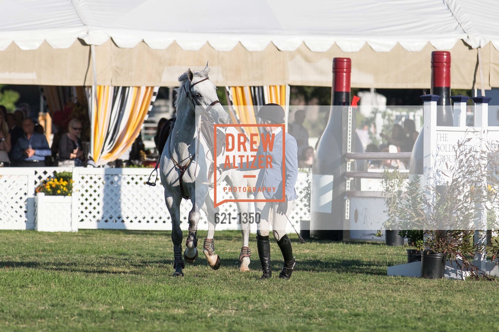 Horse Show, Menlo Charity Horse Show Gala Dinner, Menlo Circus Club, August 12th, 2016, Photo #621-1350 Horse Show, Photo #621-1350