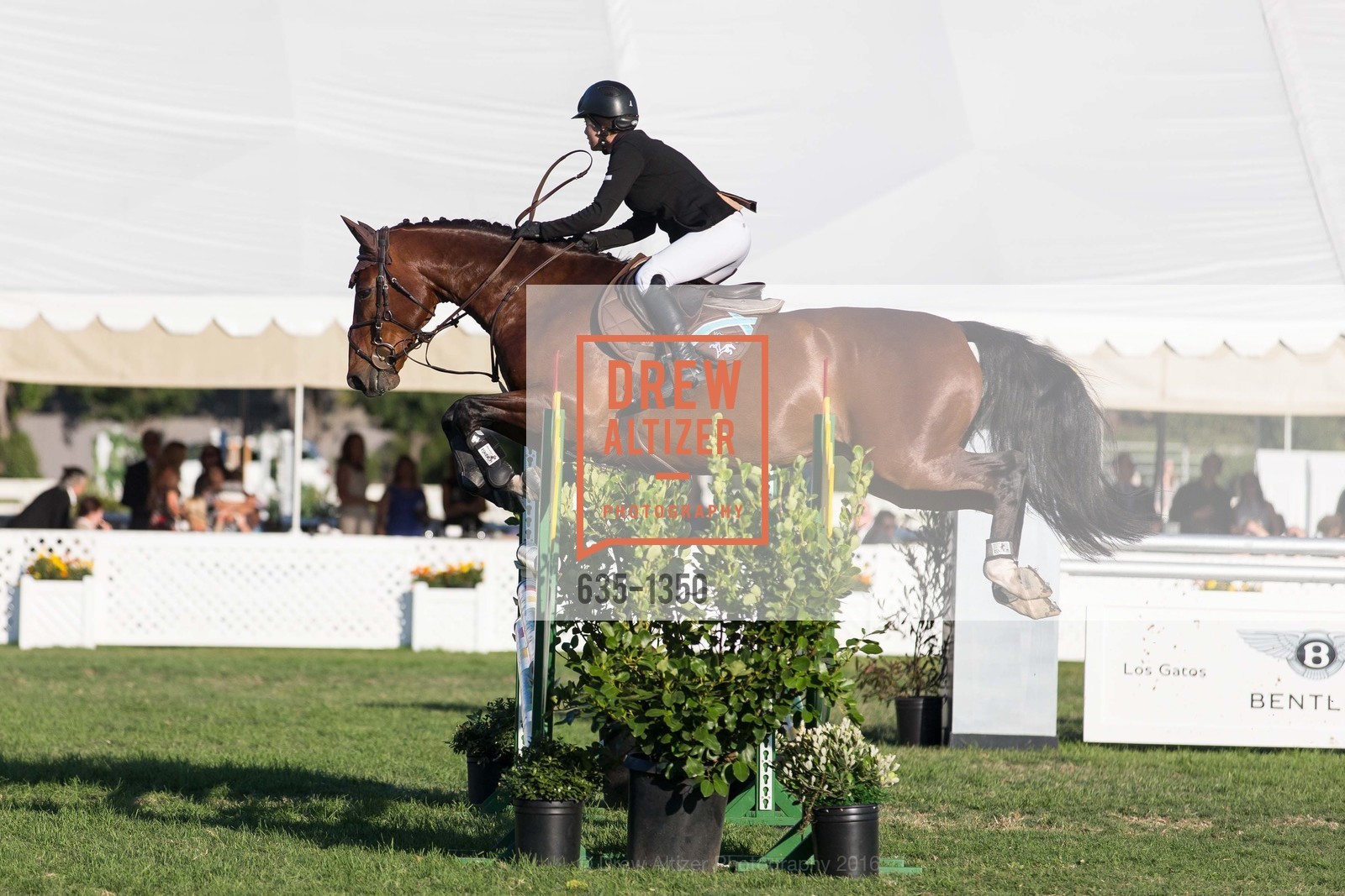 Horse Show, Menlo Charity Horse Show Gala Dinner, Menlo Circus Club, August 12th, 2016, Photo #635-1350 Horse Show, Photo #635-1350