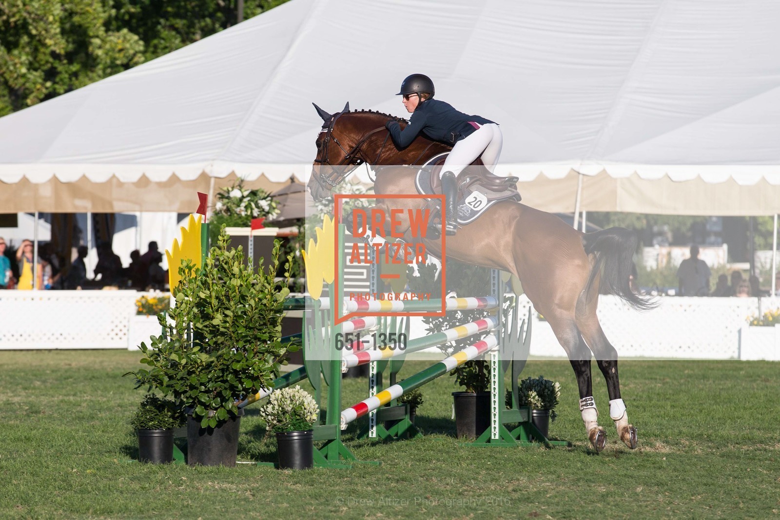 Horse Show, Menlo Charity Horse Show Gala Dinner, Menlo Circus Club, August 12th, 2016, Photo #651-1350 Horse Show, Photo #651-1350