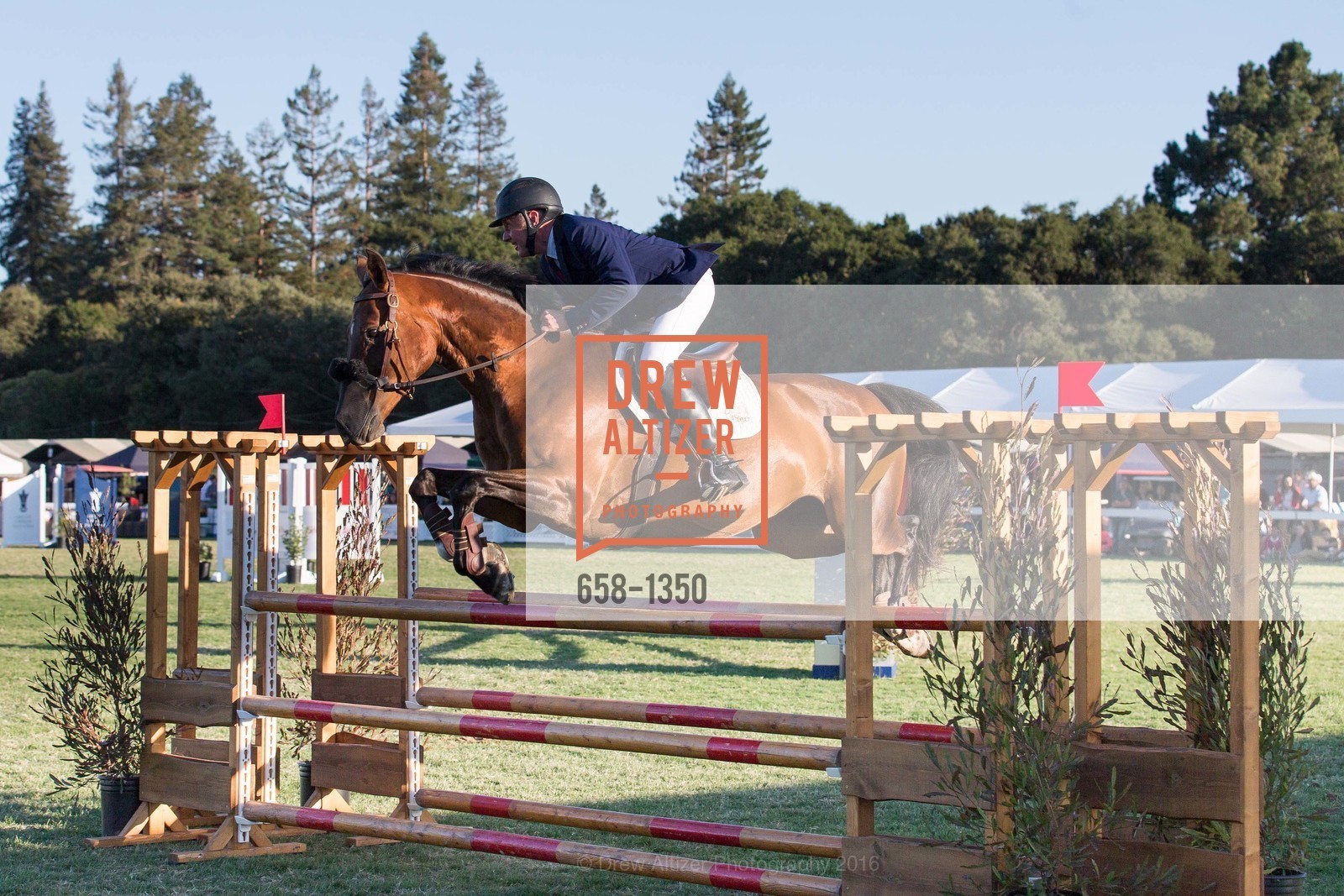 Horse Show, Menlo Charity Horse Show Gala Dinner, Menlo Circus Club, August 12th, 2016, Photo #658-1350 Horse Show, Photo #658-1350