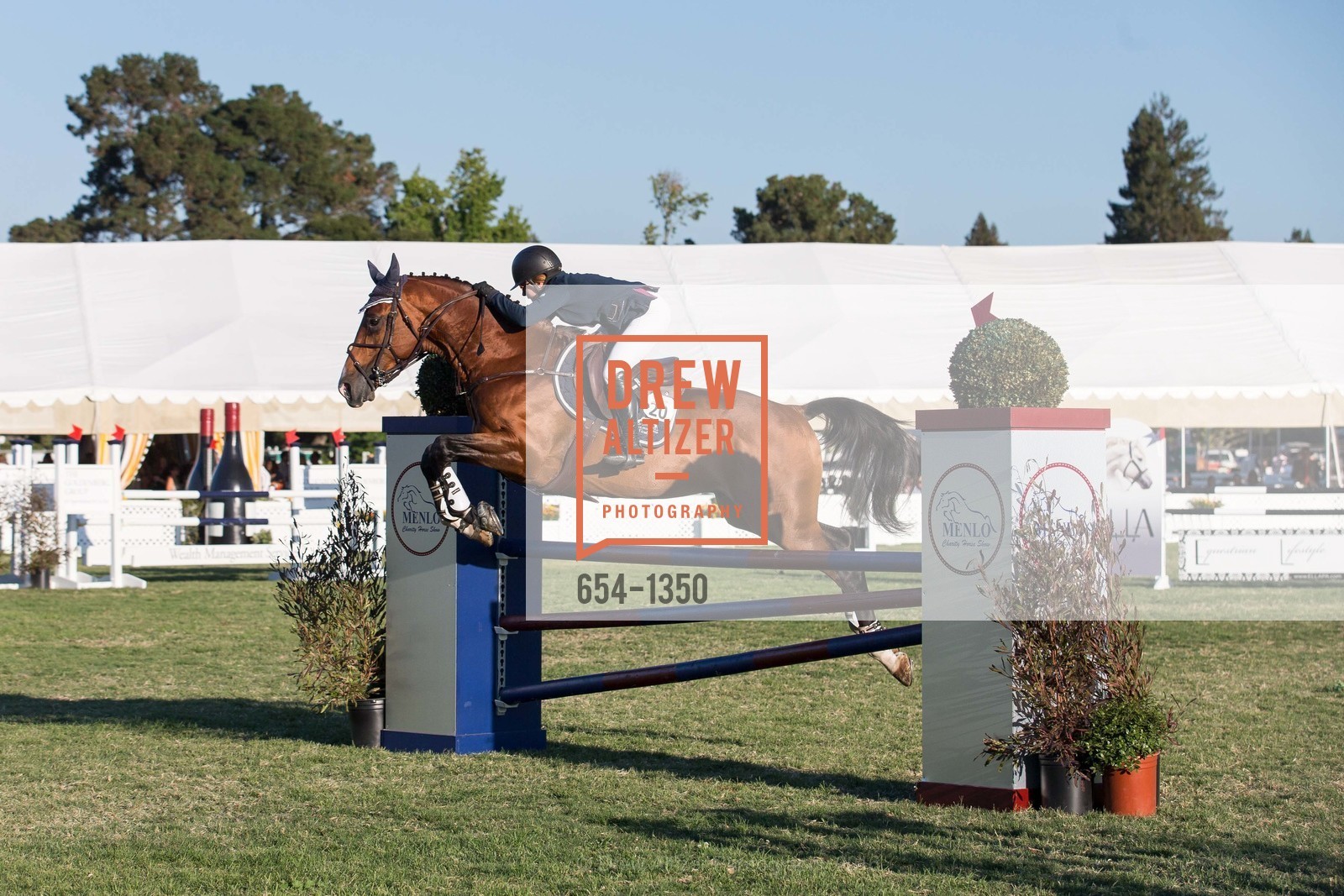 Horse Show, Menlo Charity Horse Show Gala Dinner, Menlo Circus Club, August 12th, 2016, Photo #654-1350 Horse Show, Photo #654-1350