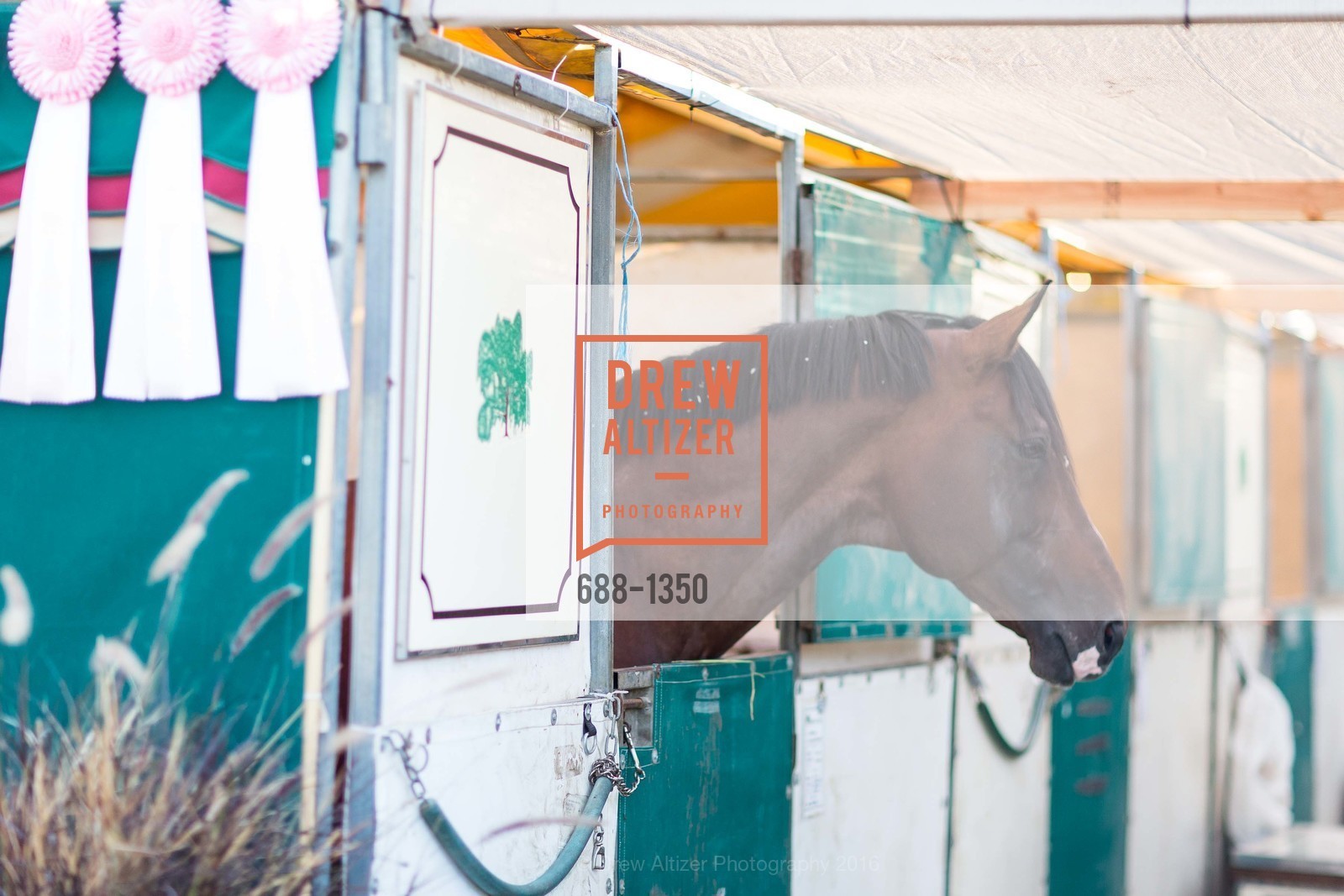 Menlo Charity Horse Show Gala Dinner, Menlo Circus Club, August 12th, 2016, Photo #688-1350 Photo #688-1350