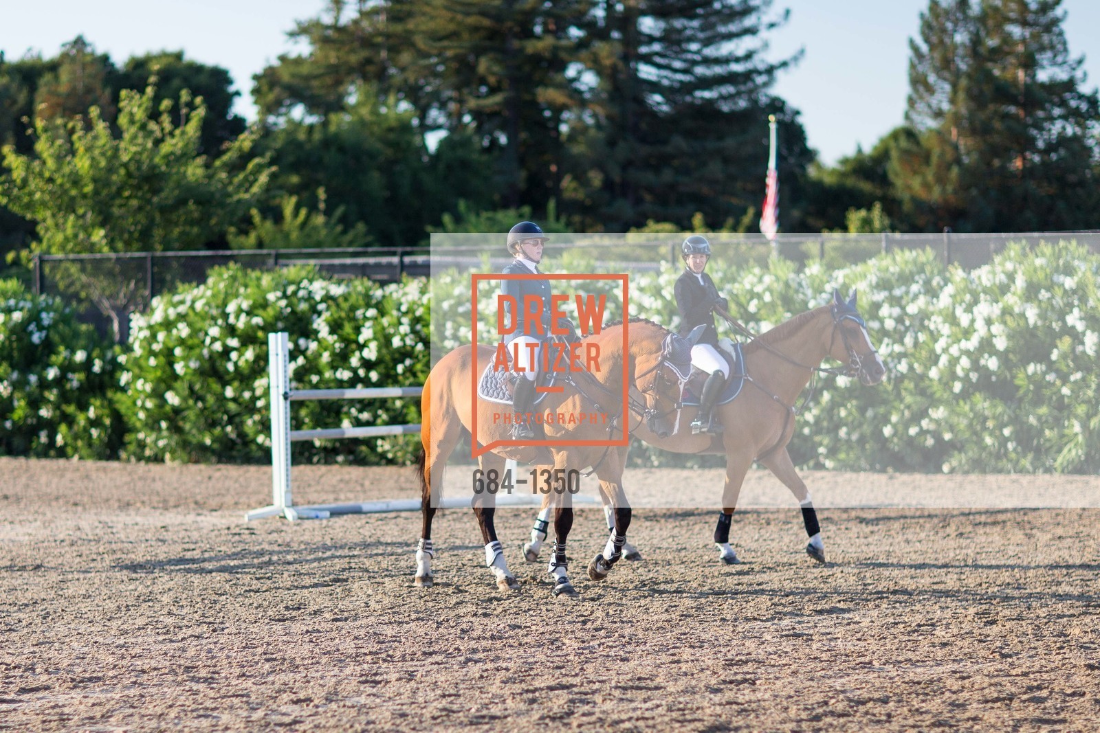 Horse Show, Menlo Charity Horse Show Gala Dinner, Menlo Circus Club, August 12th, 2016, Photo #684-1350 Horse Show, Photo #684-1350