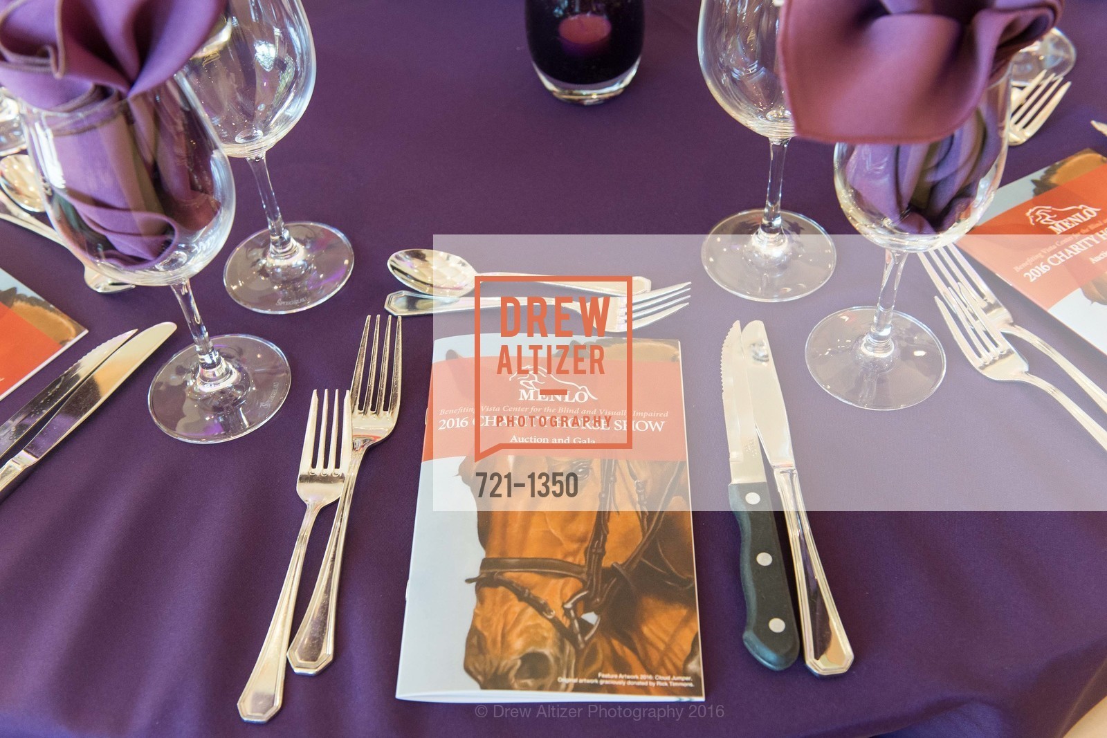 Atmosphere, Menlo Charity Horse Show Gala Dinner, Menlo Circus Club, August 12th, 2016, Photo #721-1350 Atmosphere, Photo #721-1350
