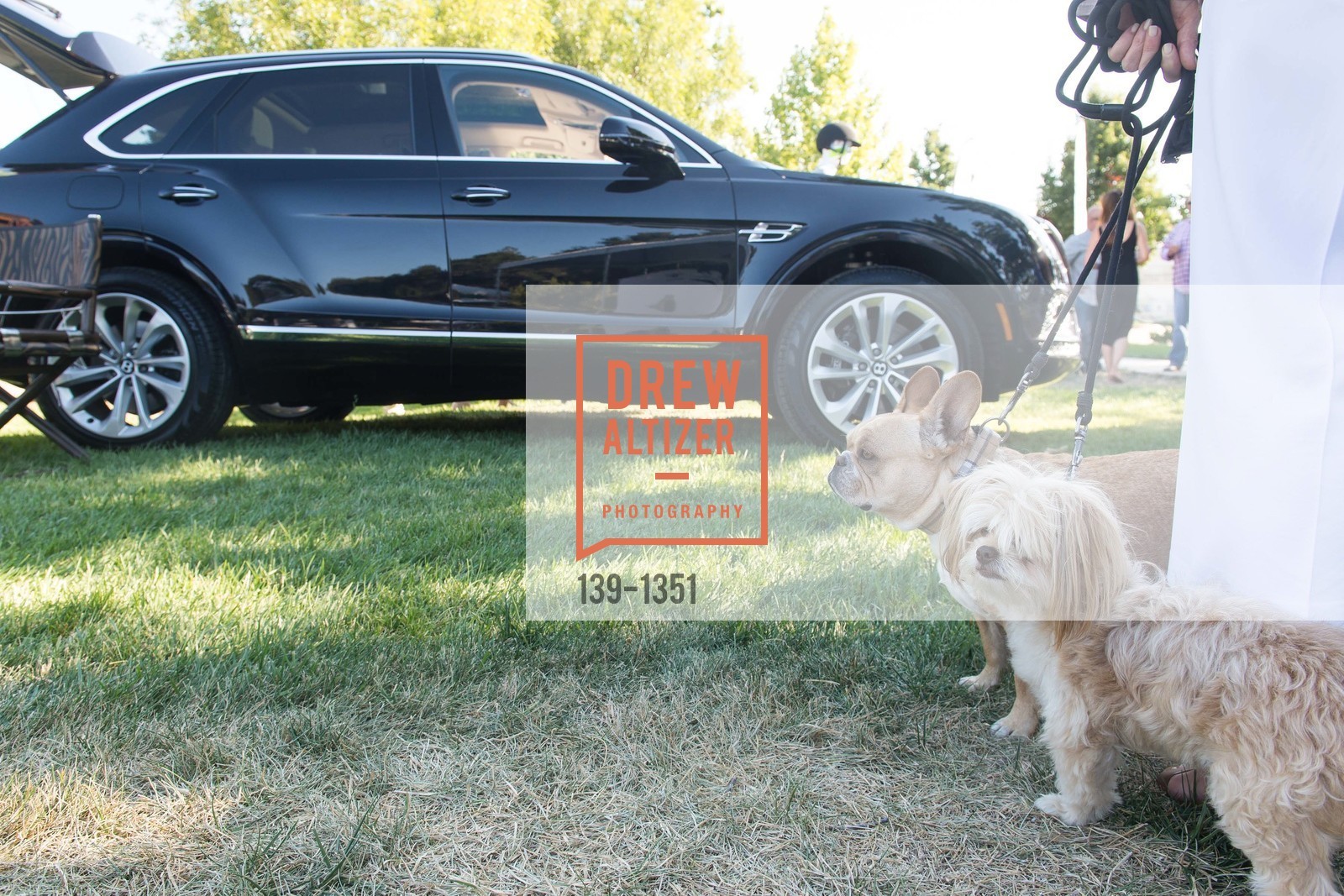 Atmosphere, Menlo Charity Horse Show- Bently and ELLA pre-Grand Prix party, Menlo Circus Club, August 13th, 2016, Photo #139-1351 Atmosphere, Photo #139-1351