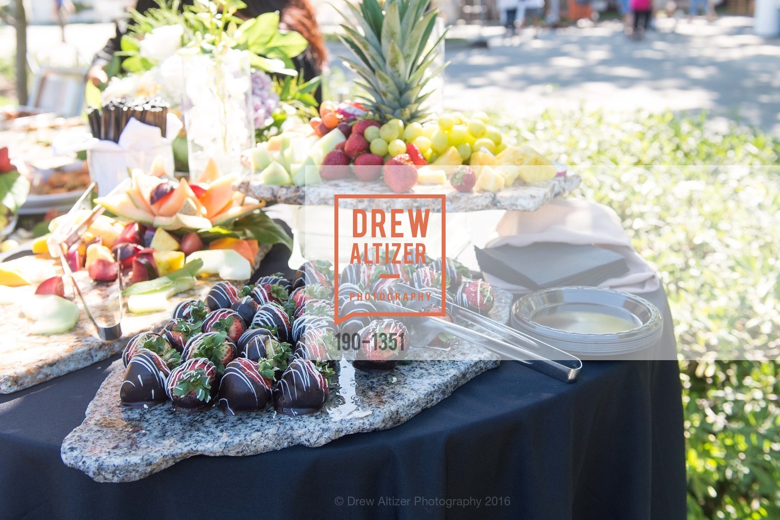 Atmosphere, Menlo Charity Horse Show- Bently and ELLA pre-Grand Prix party, Menlo Circus Club, August 13th, 2016, Photo #190-1351 Atmosphere, Photo #190-1351