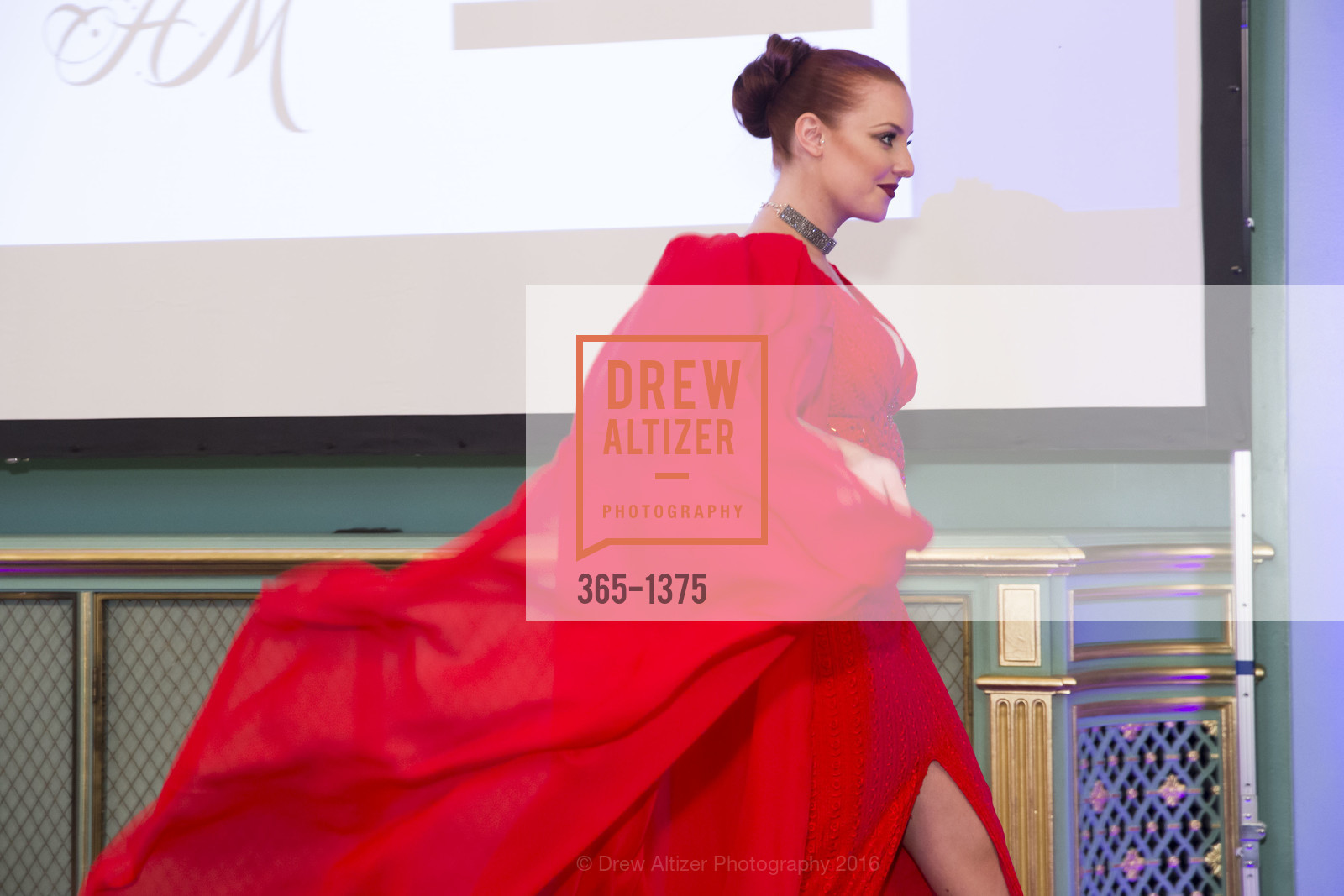 Model, Help Is On The Way XXII Gala, Herbst Pavillion, August 21st, 2016, Photo #365-1375 Model, Photo #365-1375