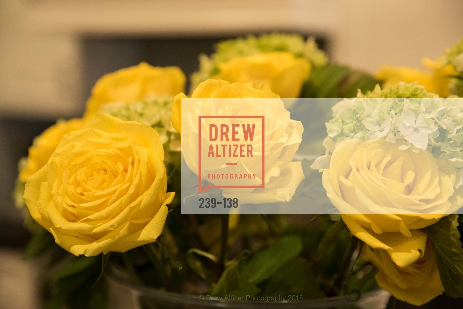 Atmosphere, Fair Trade USA: Tapas, Sangria & Music, Private Residence, May 29th, 2015,Drew Altizer, Drew Altizer Photography, full-service agency, private events, San Francisco photographer, photographer california