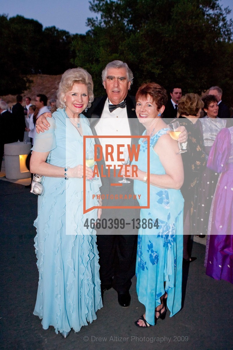 Diane Paulson, Jon Paulson, Sarah Ferris, The Buck Institute's CRYSTAL BALL, US, May 17th, 2009, Photo #4660399-13864 Diane Paulson, Jon Paulson, Sarah Ferris, Photo #4660399-13864