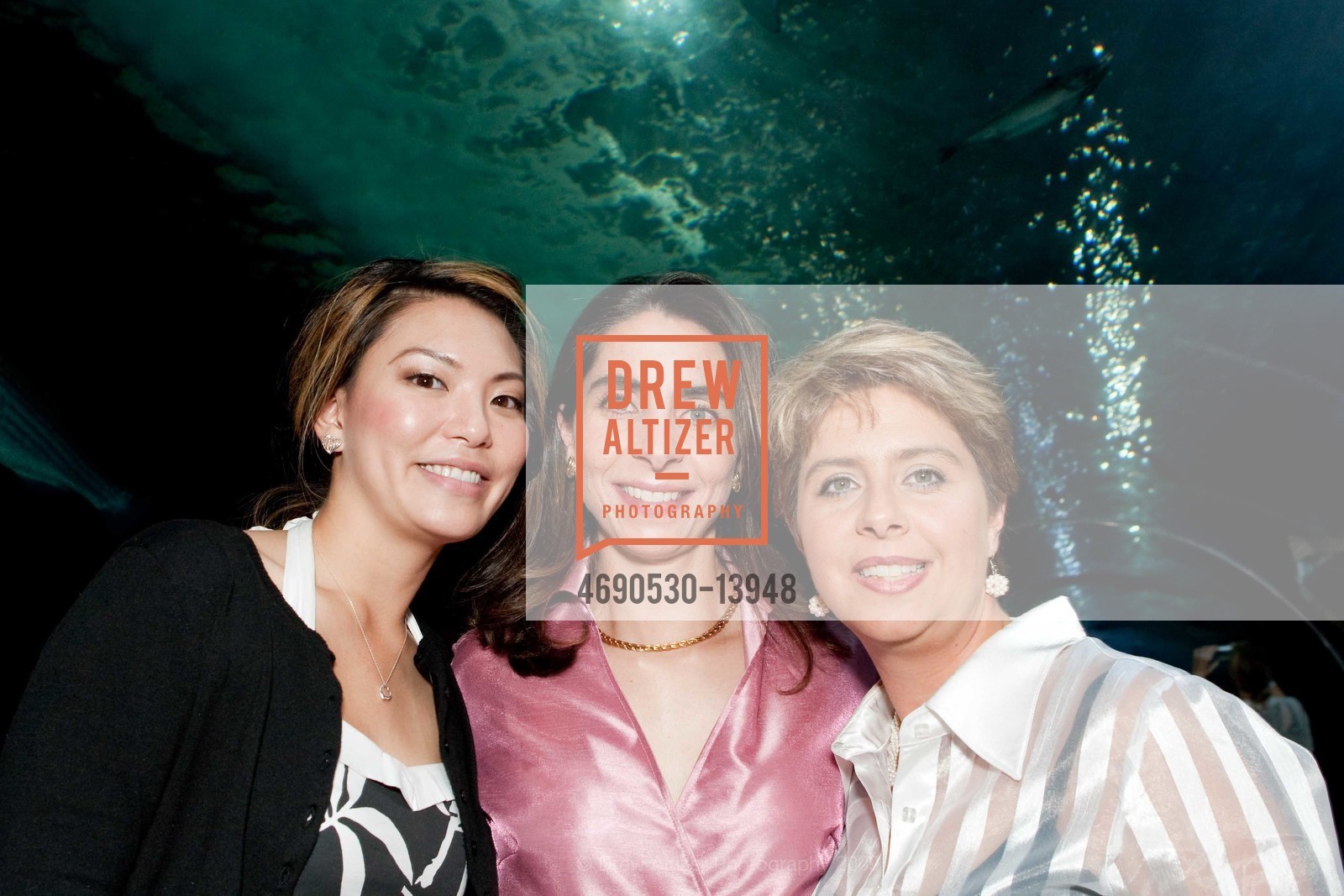 Kristi Cho, Vivian Matuk, Kathy Matuk, COASTAL CLEANUP DAY 25th Anniversary Celebration With PIERCE BROSNAN, US, September 18th, 2009, Photo #4690530-13948 Kristi Cho, Vivian Matuk, Kathy Matuk, Photo #4690530-13948