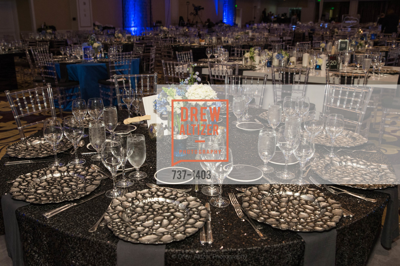 Atmosphere, American Cancer Society's Discovery Gala, Fairmont, Photo #737-1403 Atmosphere, Photo #737-1403