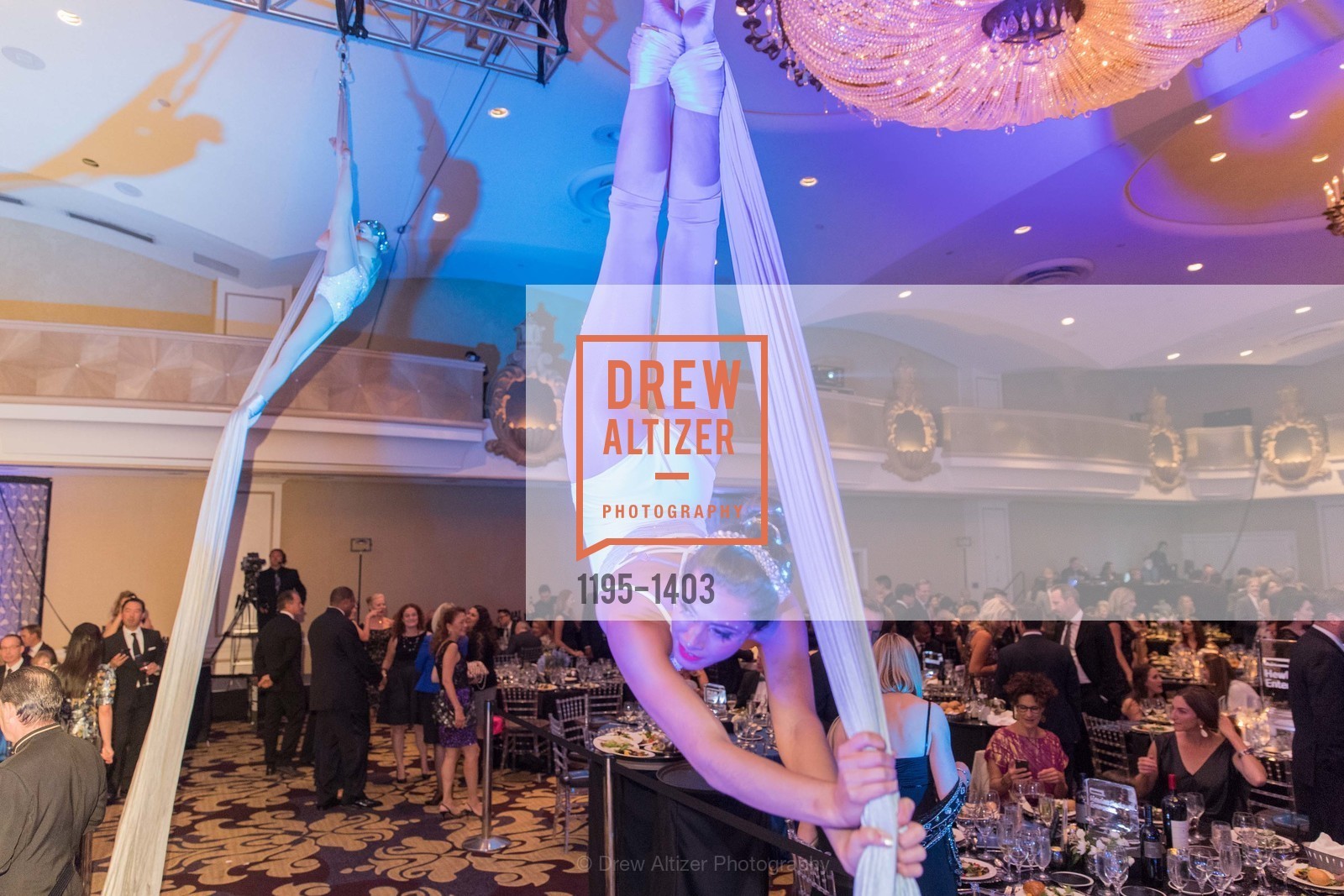 Atmosphere, American Cancer Society's Discovery Gala, Fairmont, Photo #1195-1403 Atmosphere, Photo #1195-1403