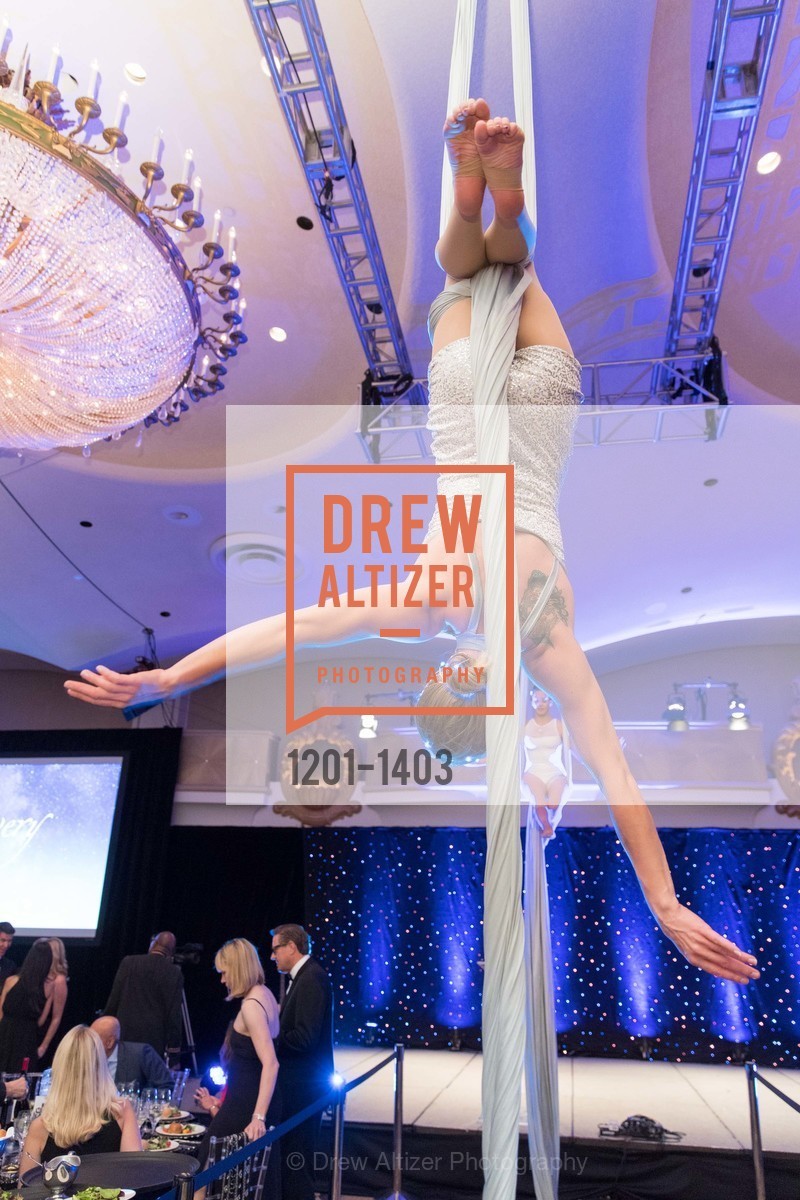 Atmosphere, American Cancer Society's Discovery Gala, Fairmont, Photo #1201-1403 Atmosphere, Photo #1201-1403