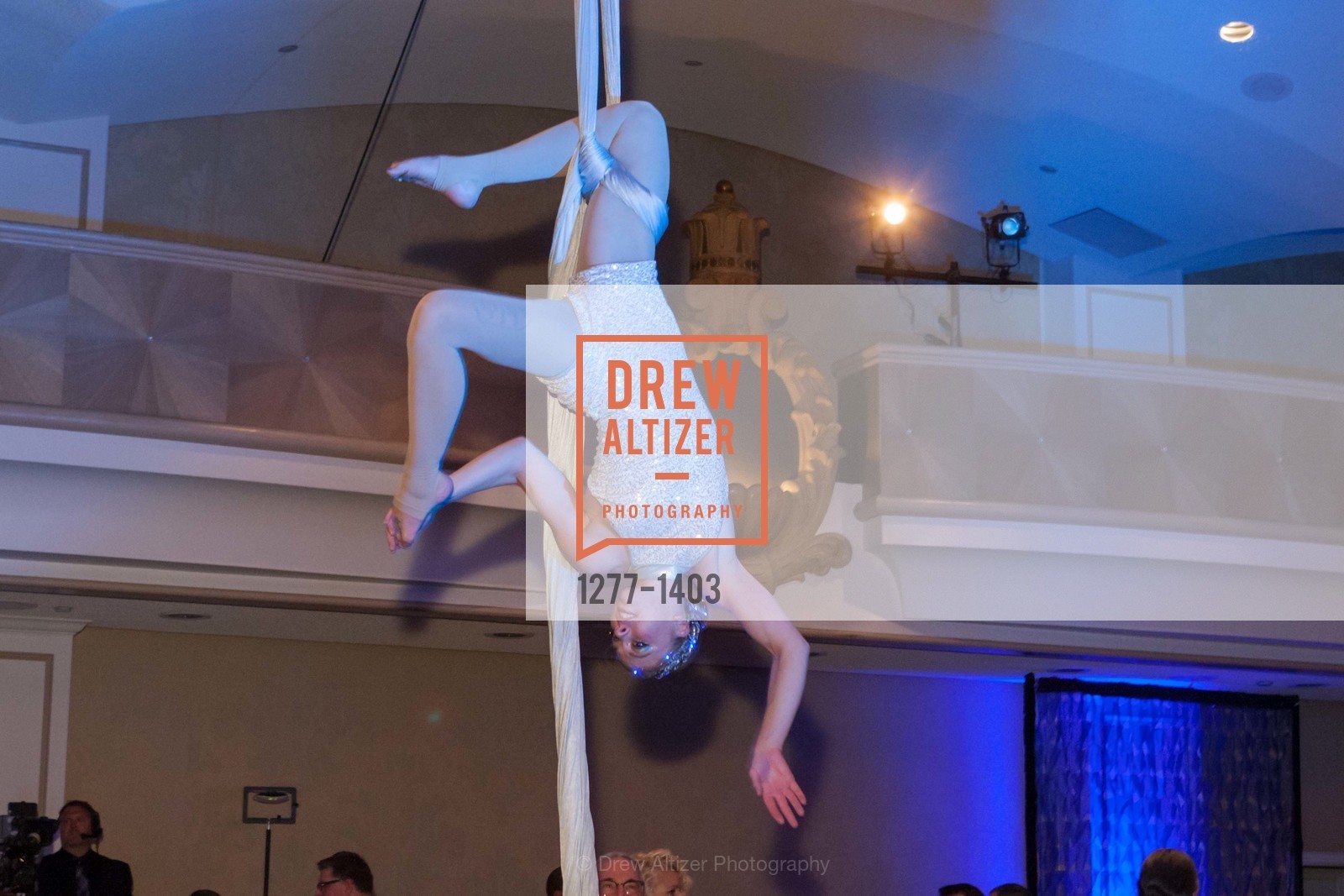 Atmosphere, American Cancer Society's Discovery Gala, Fairmont, Photo #1277-1403 Atmosphere, Photo #1277-1403