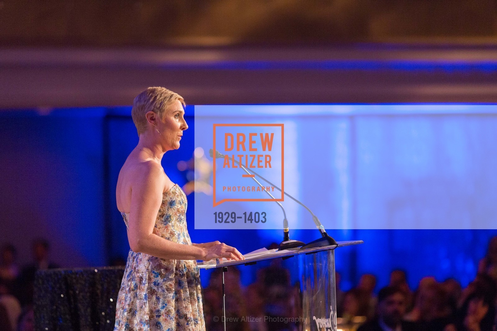 Laura Holmes-Haddad, American Cancer Society's Discovery Gala, Fairmont, Photo #1929-1403 Laura Holmes-Haddad, Photo #1929-1403