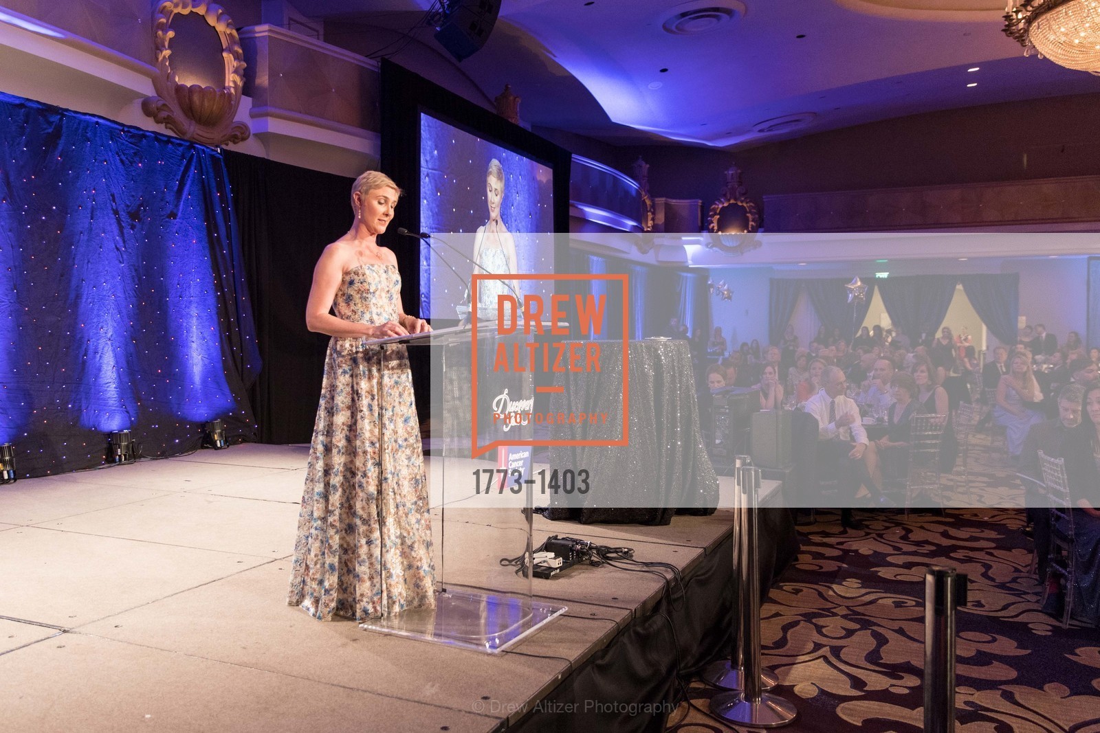 Laura Holmes Haddad, American Cancer Society's Discovery Gala, Fairmont, Photo #1773-1403 Laura Holmes Haddad, Photo #1773-1403