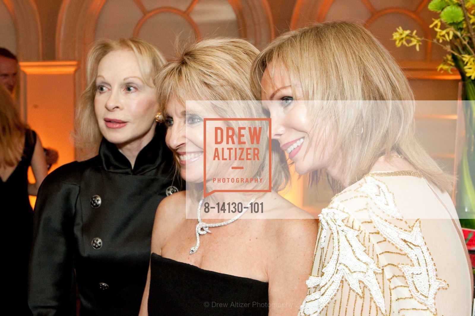 Judith Renard, Sandy Mandel, Deborah Concklin, Alzheimer's Research for a Cure Gala, US, February 8th, 2009, Photo #8-14130-101 Judith Renard, Sandy Mandel, Deborah Concklin, Photo #8-14130-101