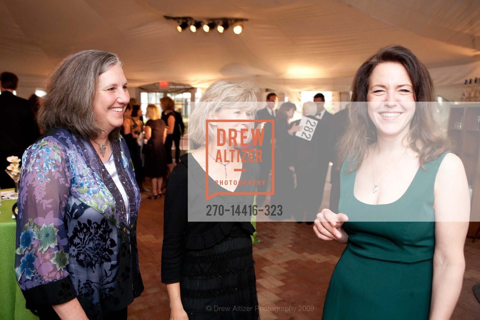 Marcia Wertz, Mary McDonell, Celia Hamilton, JUVENILE DIABETES RESEARCH FOUNDATION Annual Gala, US, May 3rd, 2009, Photo #270-14416-323 Marcia Wertz, Mary McDonell, Celia Hamilton, Photo #270-14416-323