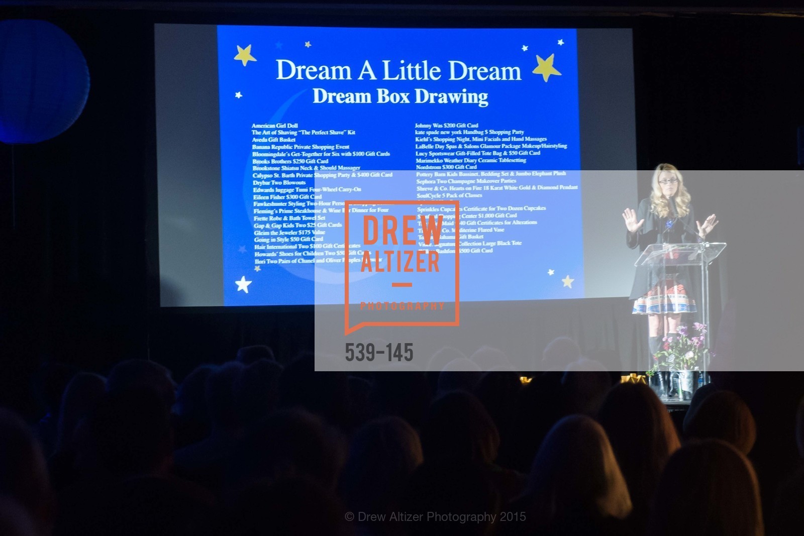 Diane Dwyer, DREAMS HAPPEN: Playhouse Auction and Gala, Stanford Shopping Center, June 5th, 2015,Drew Altizer, Drew Altizer Photography, full-service agency, private events, San Francisco photographer, photographer california
