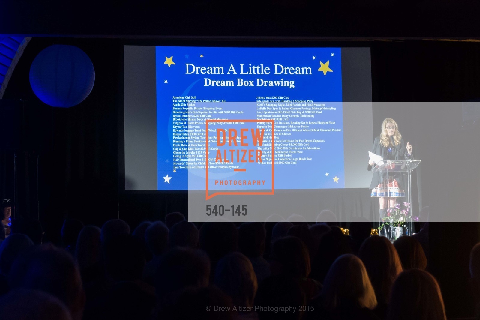 Diane Dwyer, DREAMS HAPPEN: Playhouse Auction and Gala, Stanford Shopping Center, June 5th, 2015,Drew Altizer, Drew Altizer Photography, full-service agency, private events, San Francisco photographer, photographer california