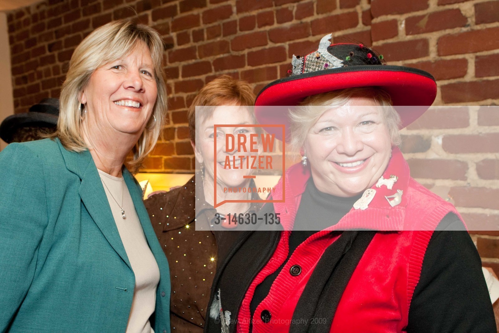 Renee Archer, Lana Kennings, Jan Wahl, SPCA's The 8th Annual HATS OFF Luncheon & Fashion Show, US, June 4th, 2009, Photo #3-14630-135 Renee Archer, Lana Kennings, Jan Wahl, Photo #3-14630-135