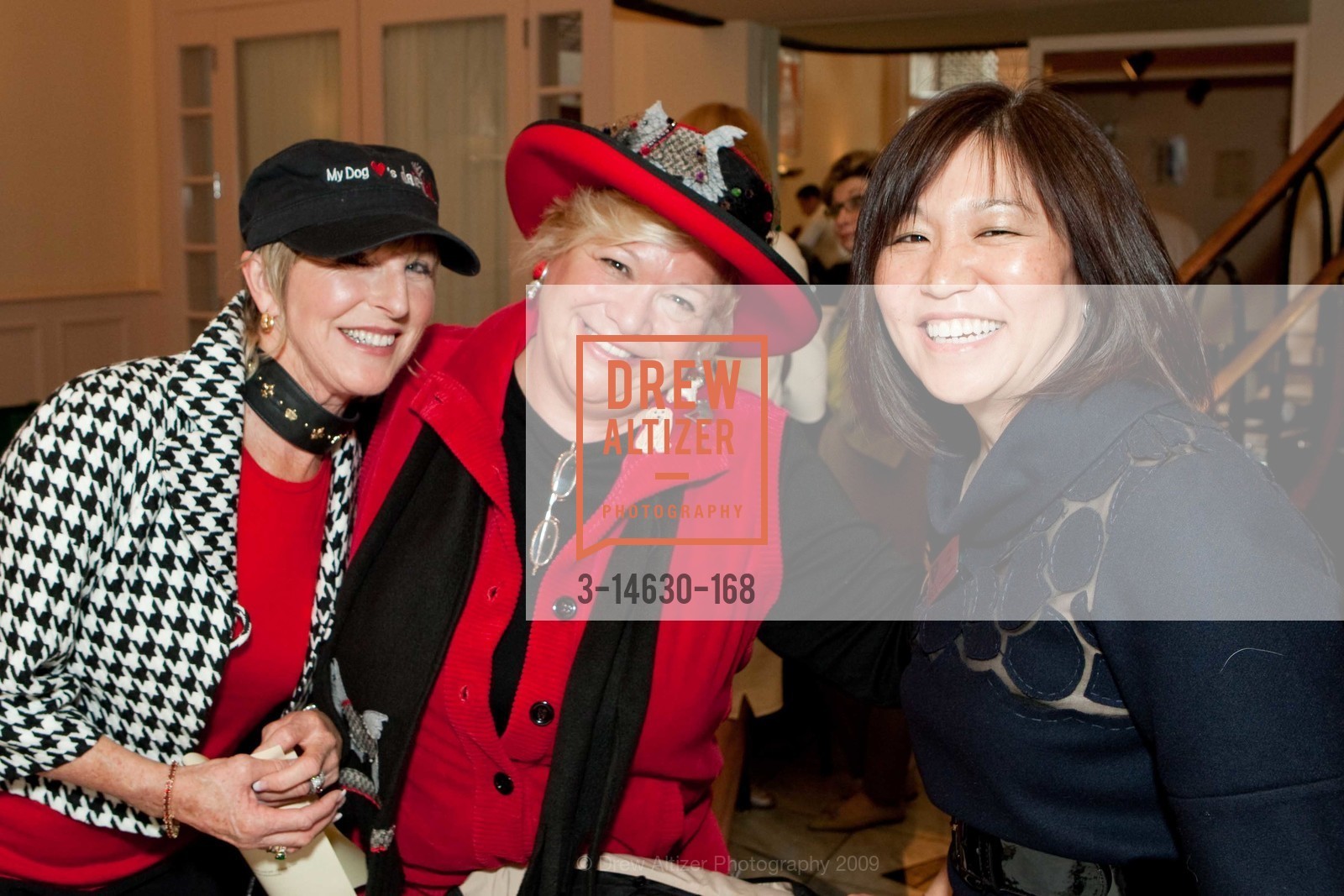 Camilla Gray-Nelson, Jan Wahl, Tina Ahn, SPCA's The 8th Annual HATS OFF Luncheon & Fashion Show, US, June 4th, 2009, Photo #3-14630-168 Camilla Gray-Nelson, Jan Wahl, Tina Ahn, Photo #3-14630-168