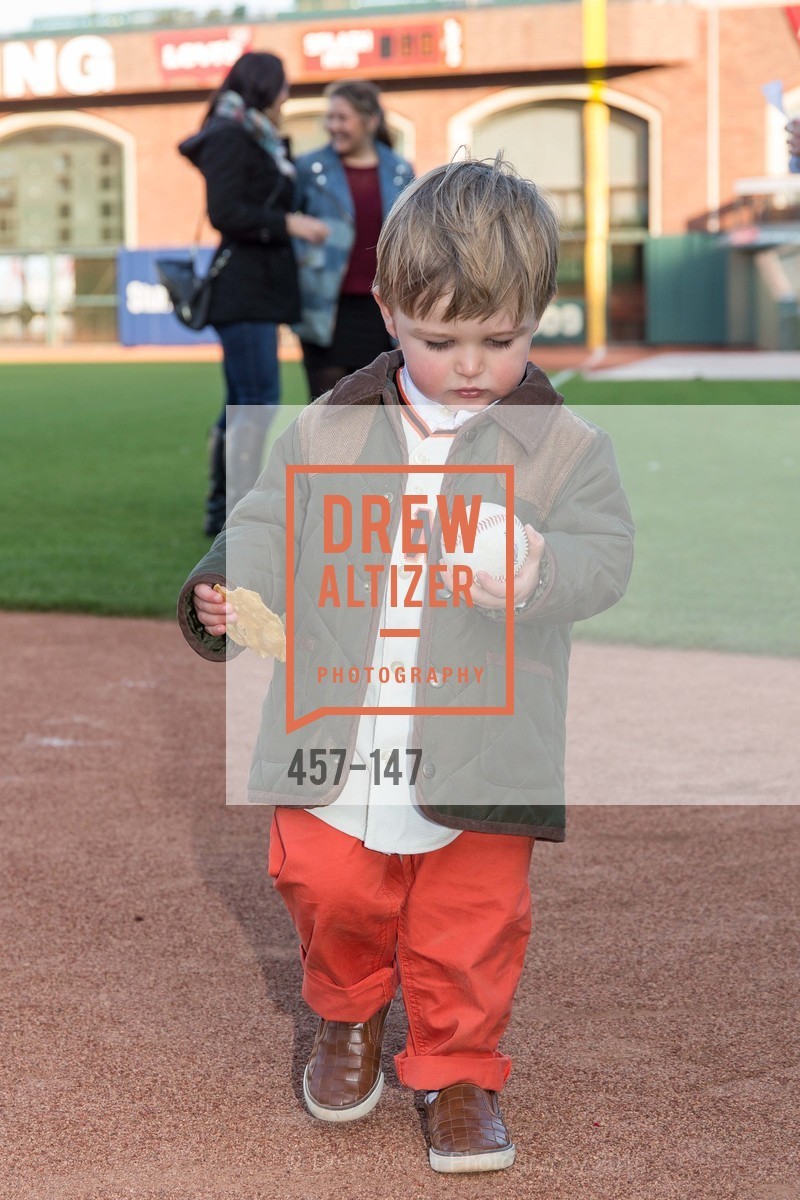 Luca Lanza, The Saint Francis Foundation's