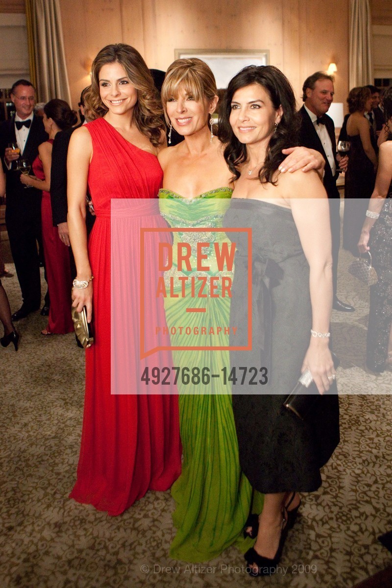 Maria Menounos, Vicki Liviakis, Maria Lerios, The ELIOS SOCIETY'S 2009 Hellenic Charity Ball, US, November 8th, 2009, Photo #4927686-14723 Maria Menounos, Vicki Liviakis, Maria Lerios, Photo #4927686-14723