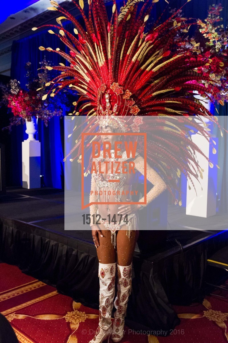 Performance, Compassion Is Universal 2016, Palace Hotel, October 13th, 2016, Photo #1512-1474 Performance, Photo #1512-1474