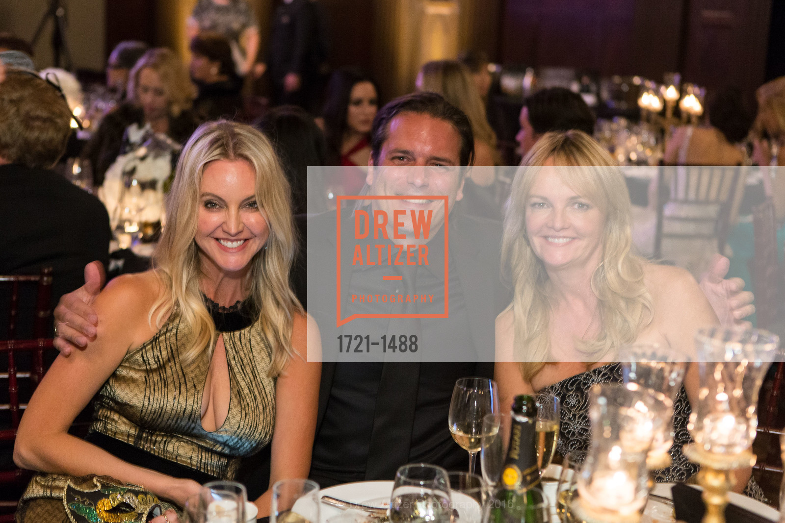 Sarah Lewis, Domestic Violence Hotline's 20th Annual Gala, Merchant's Exchange Building, Julia Morgan Ballroom. 465 California St, October 13th, 2016, Photo #1721-1488 Sarah Lewis, Photo #1721-1488