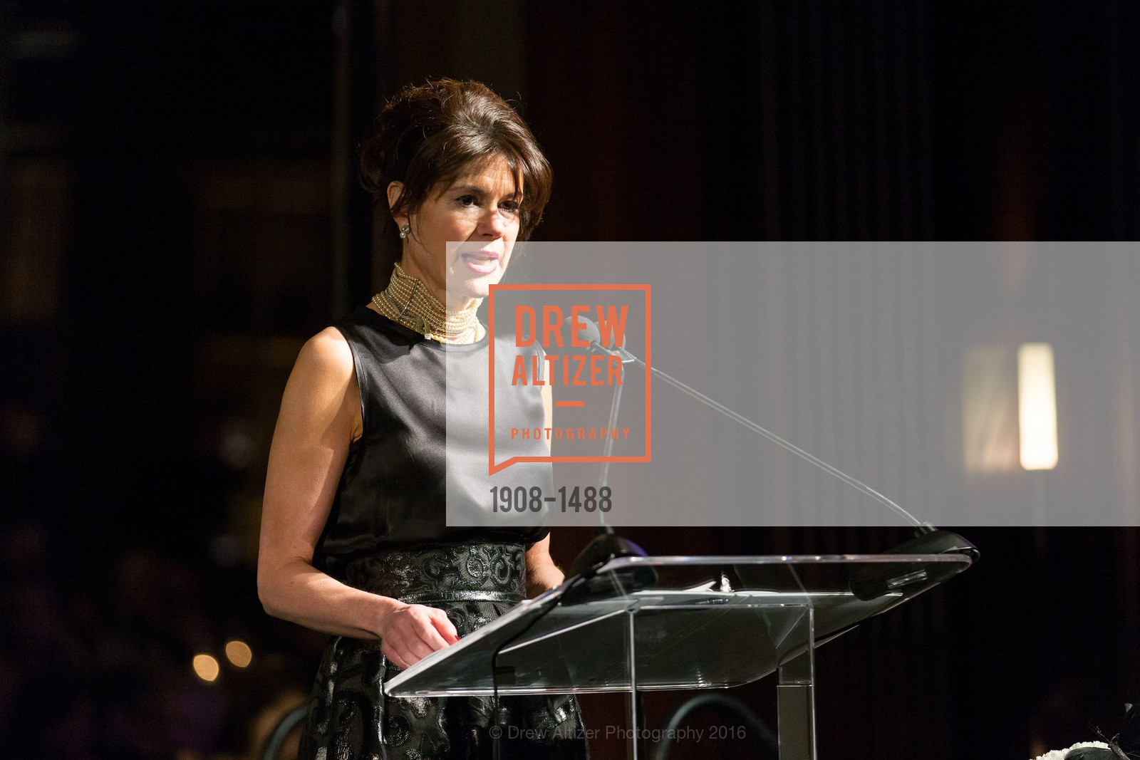 Elaine Mellis, Domestic Violence Hotline's 20th Annual Gala, Merchant's Exchange Building, Julia Morgan Ballroom. 465 California St, October 13th, 2016, Photo #1908-1488 Elaine Mellis, Photo #1908-1488