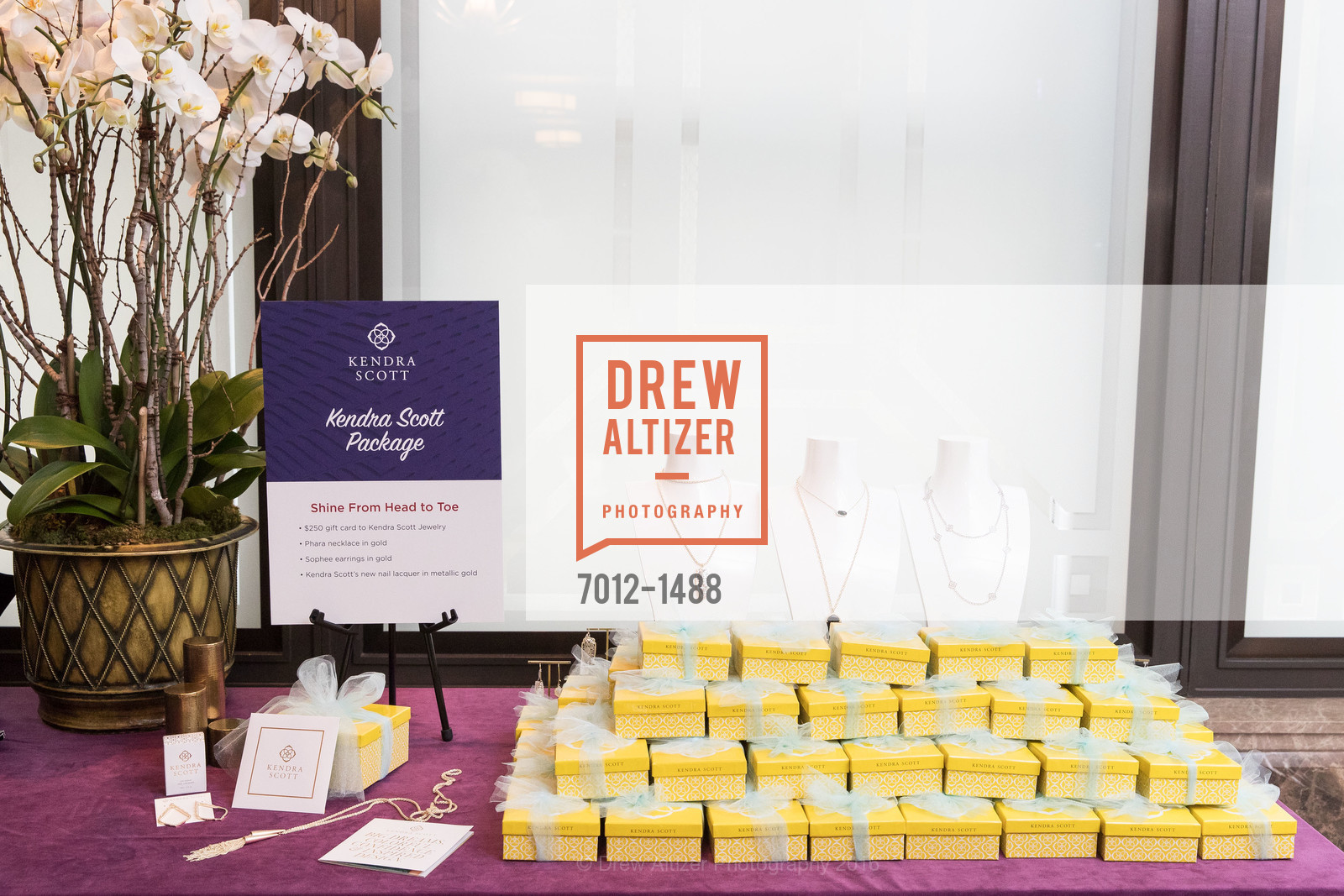 Atmosphere, Domestic Violence Hotline's 20th Annual Gala, Merchant's Exchange Building, Julia Morgan Ballroom. 465 California St, October 13th, 2016, Photo #7012-1488 Atmosphere, Photo #7012-1488