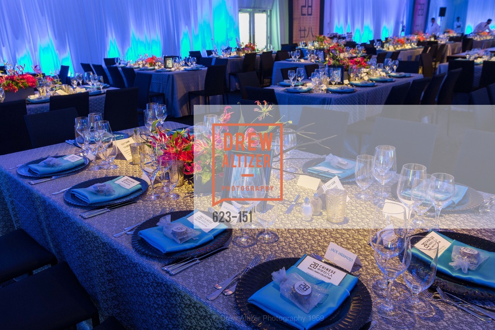 Atmosphere, Asian Art Museum 28 Chinese Opening Night Gala, Asian Art Museum. 200 Larkin St, June 2nd, 2015,Drew Altizer, Drew Altizer Photography, full-service agency, private events, San Francisco photographer, photographer california