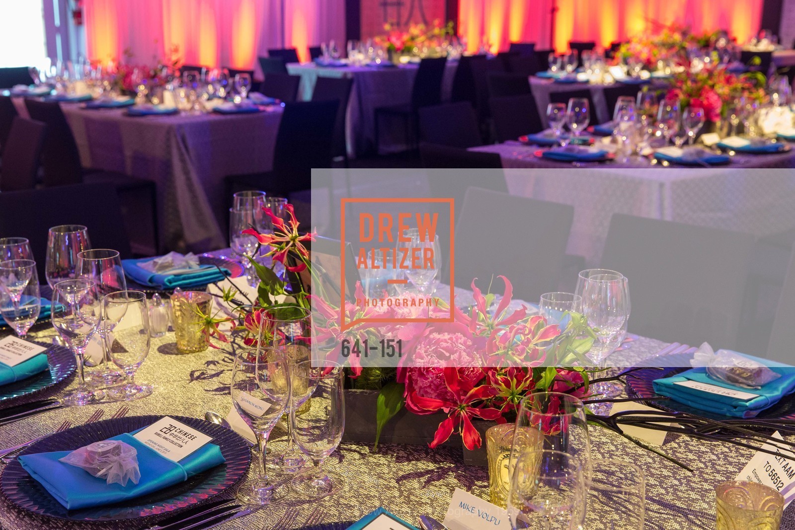 Atmosphere, Asian Art Museum 28 Chinese Opening Night Gala, Asian Art Museum. 200 Larkin St, June 2nd, 2015,Drew Altizer, Drew Altizer Photography, full-service agency, private events, San Francisco photographer, photographer california