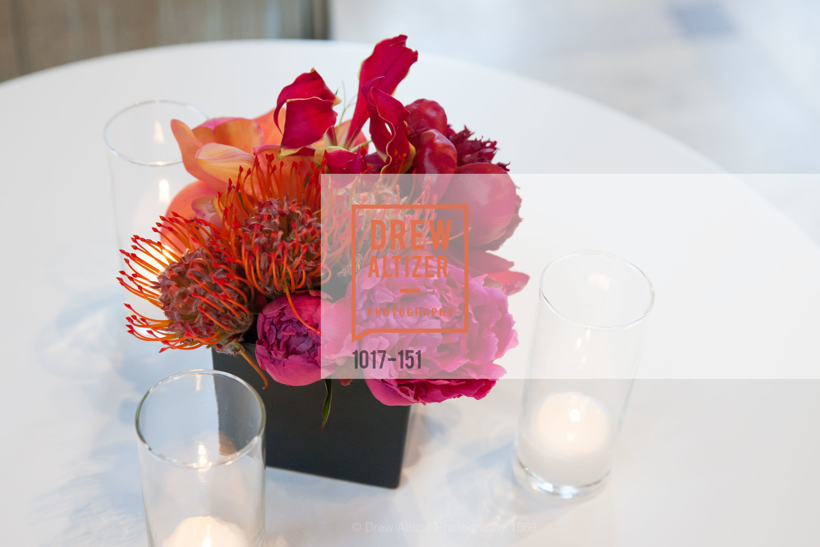 Atmosphere, Asian Art Museum 28 Chinese Opening Night Gala, Asian Art Museum. 200 Larkin St, June 2nd, 2015,Drew Altizer, Drew Altizer Photography, full-service agency, private events, San Francisco photographer, photographer california