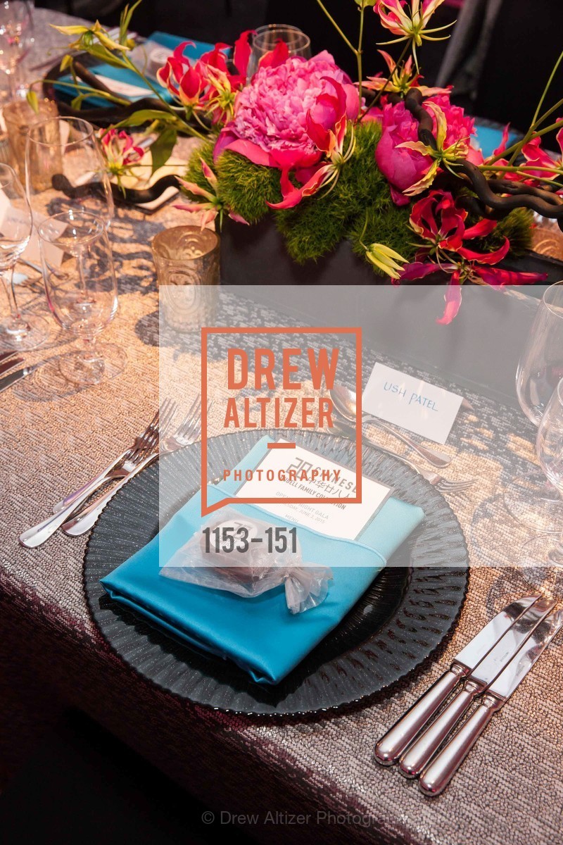 Atmosphere, Asian Art Museum 28 Chinese Opening Night Gala, Asian Art Museum. 200 Larkin St, June 2nd, 2015,Drew Altizer, Drew Altizer Photography, full-service agency, private events, San Francisco photographer, photographer california